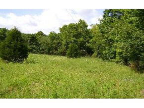 N/a West Evans Road Bloomington, IN 47403 - Photo 4 of 6
