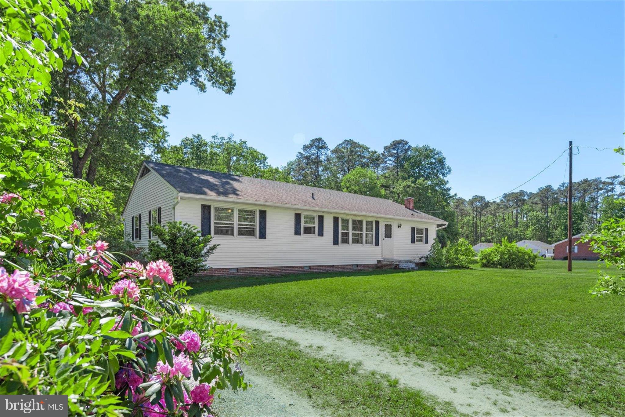 5150 Campground Road Eden, MD 21822 - Photo 1 of 43 a front view of house with yard and green space