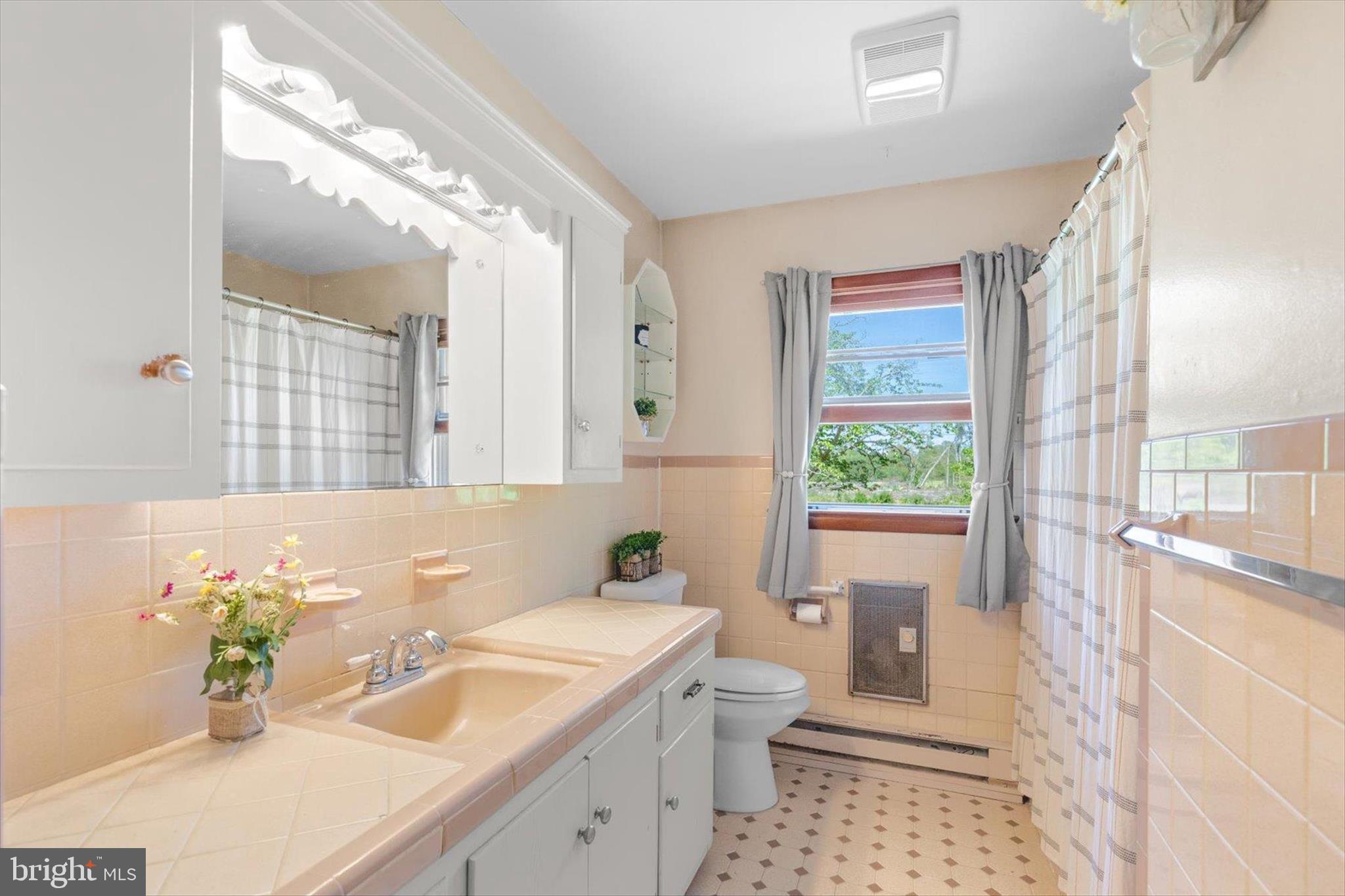 5150 Campground Road Eden, MD 21822 - Photo 14 of 43 a bathroom with a sink a large mirror and a bathtub