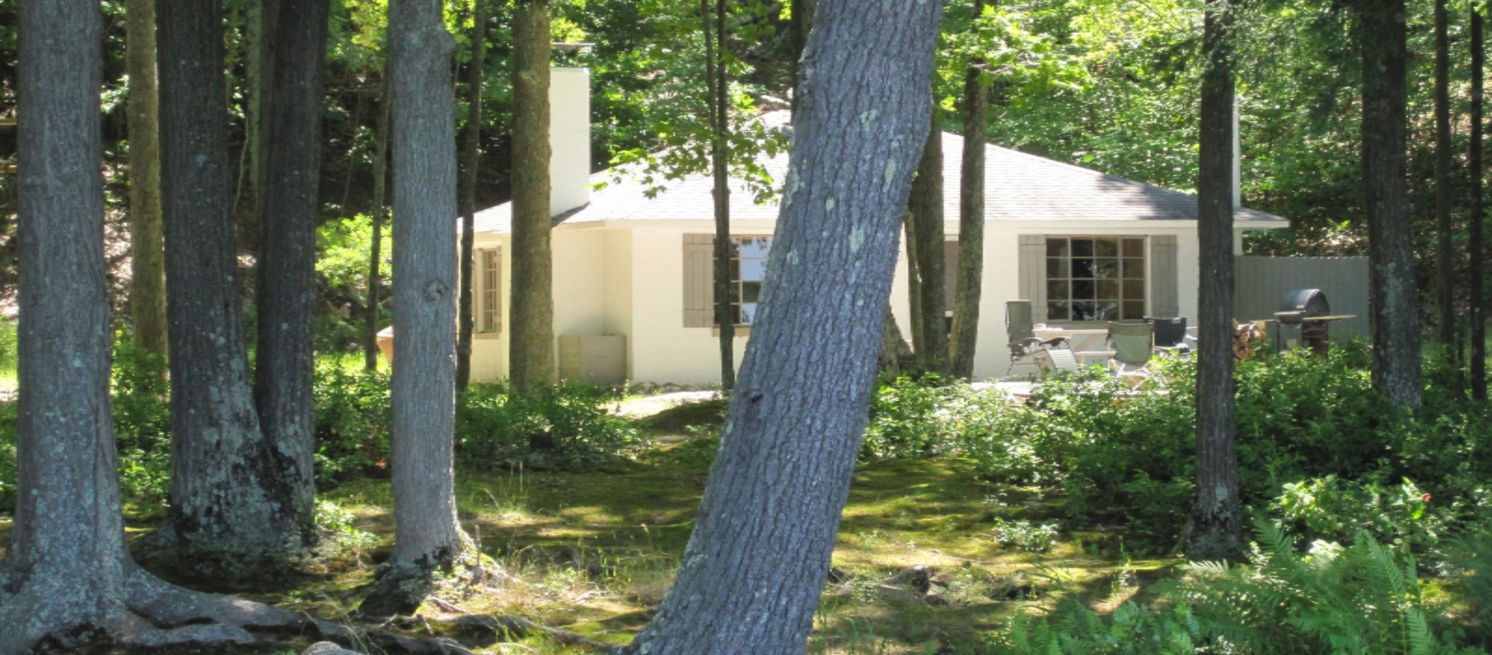 5420 North Lake Road Fountain, MI 49410 - Photo 3 of 16 ford 111