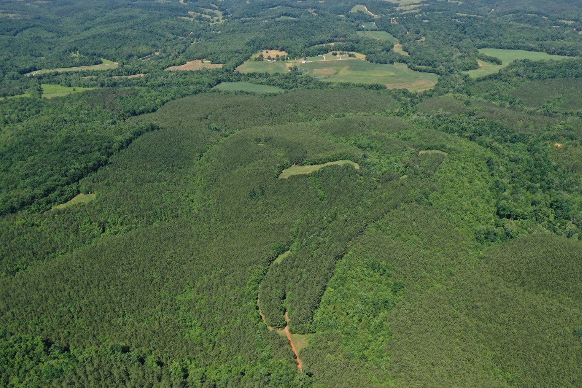 0 Ridge Road Westpoint, TN 38486 - Photo 1 of 50