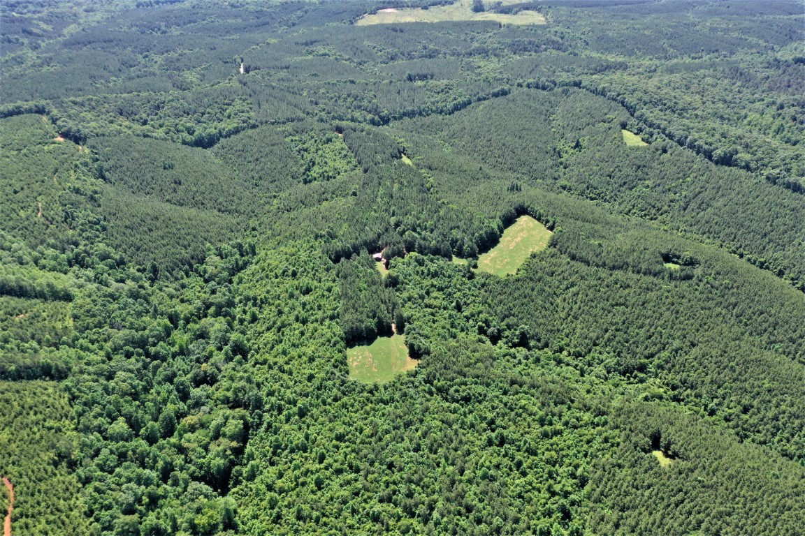 0 Ridge Road Westpoint, TN 38486 - Photo 18 of 50