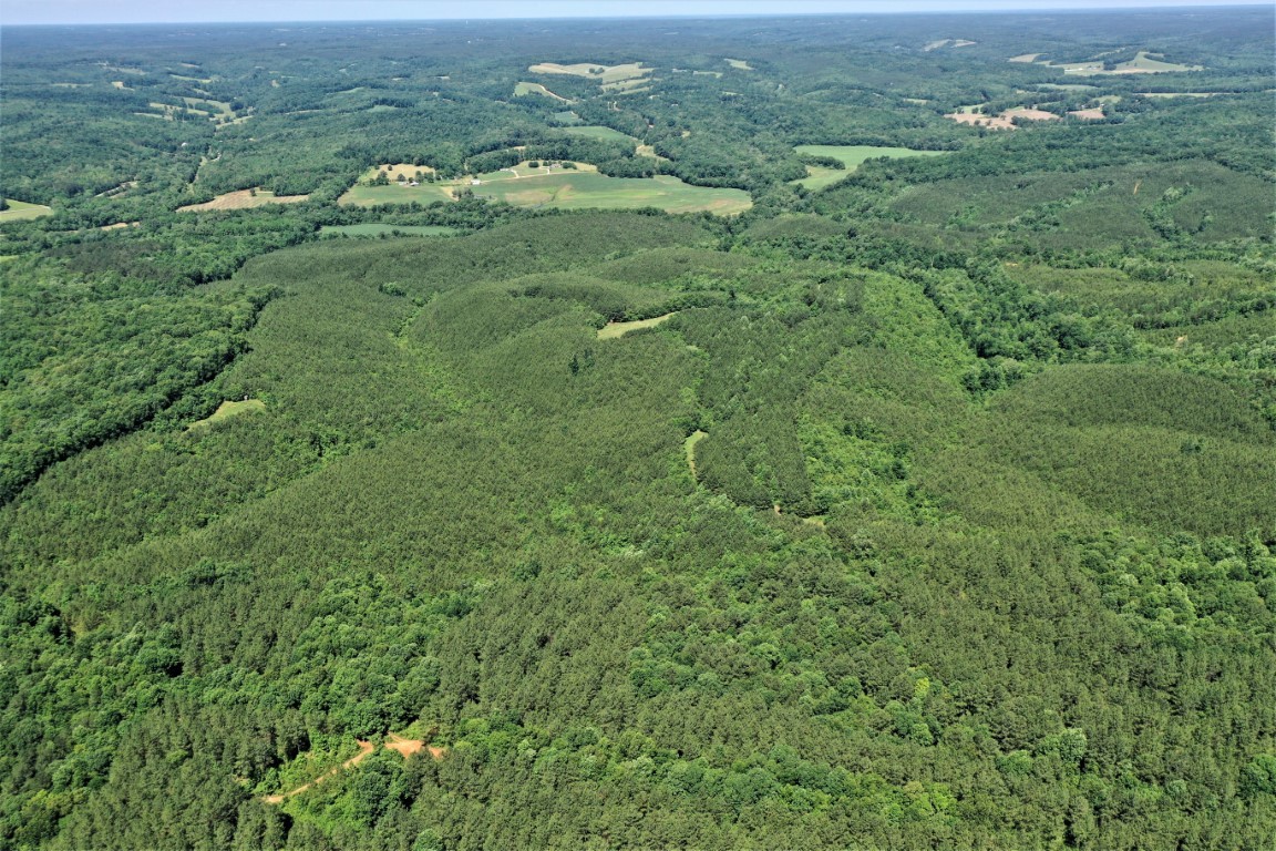 0 Ridge Road Westpoint, TN 38486 - Photo 29 of 50