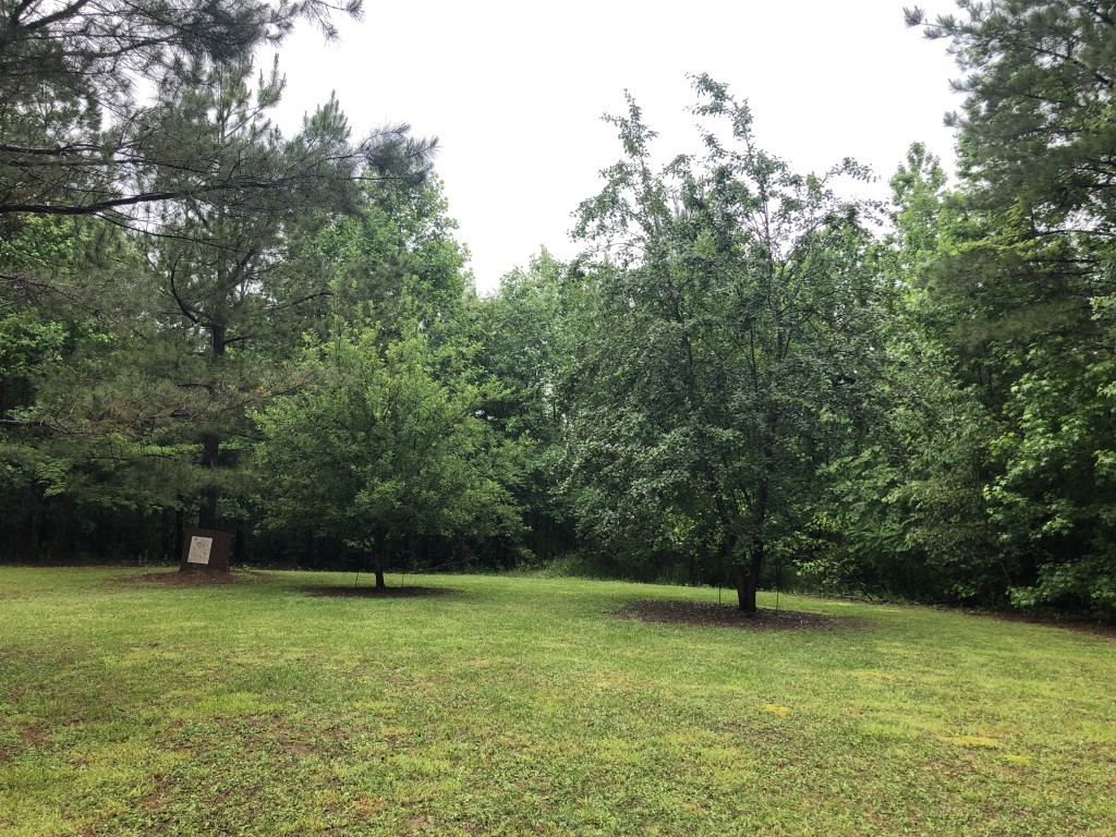 0 Ridge Road Westpoint, TN 38486 - Photo 33 of 50
