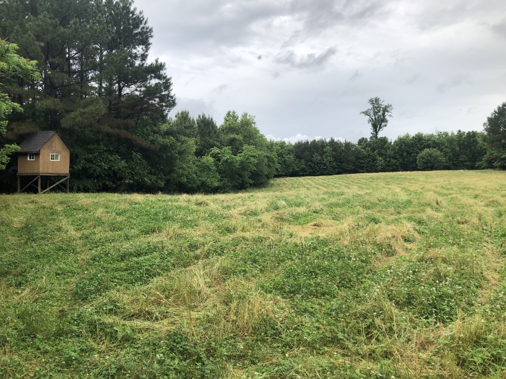 0 Ridge Road Westpoint, TN 38486 - Photo 45 of 50