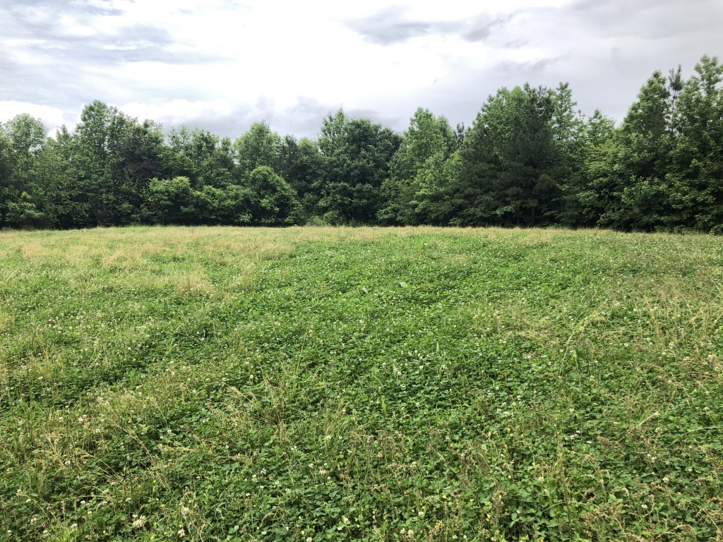 0 Ridge Road Westpoint, TN 38486 - Photo 46 of 50