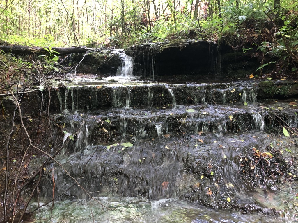0 Ridge Road Westpoint, TN 38486 - Photo 6 of 50