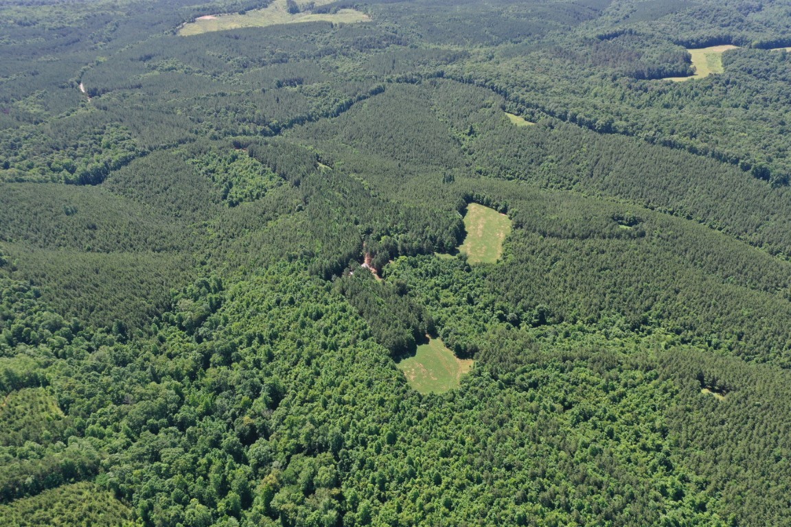 0 Ridge Road Westpoint, TN 38486 - Photo 8 of 50