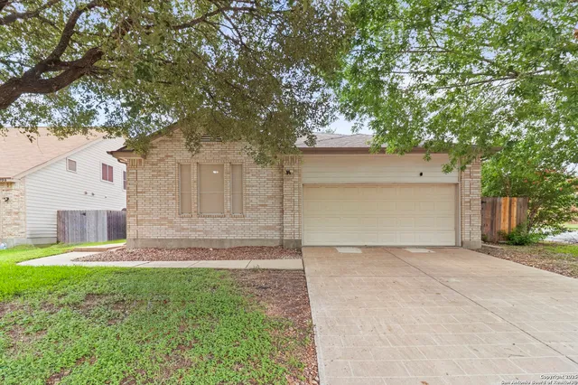 a view of a yard with a house and a large tree