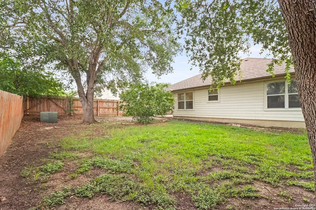 a backyard of a house with plants and large tree