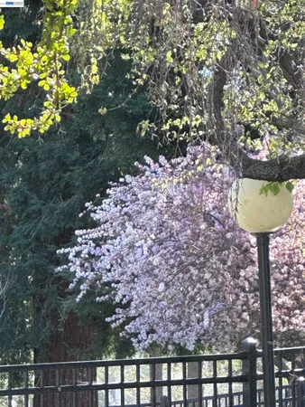 $1,200,000 | 7332 Stonedale Drive, Pleasanton, CA 94588