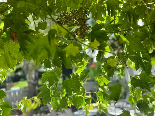 $1,200,000 | 7332 Stonedale Drive, Pleasanton, CA 94588