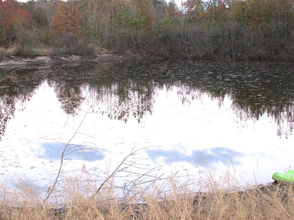 941 North 4420th Road Valliant, OK 74764 - Photo 32 of 40 a view of a yard with a tree