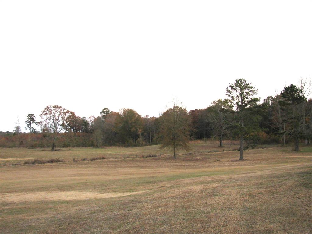 941 North 4420th Road Valliant, OK 74764 - Photo 35 of 40 a view of road with view of trees