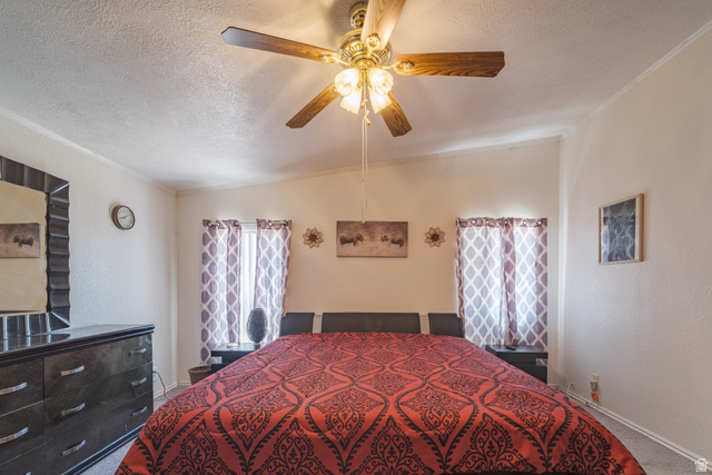 445 South Main Street Fayette, UT 84630 - Photo 21 of 45 Bedroom with ceiling fan, carpet flooring, a textured ceiling, ornamental molding, and a textured wall
