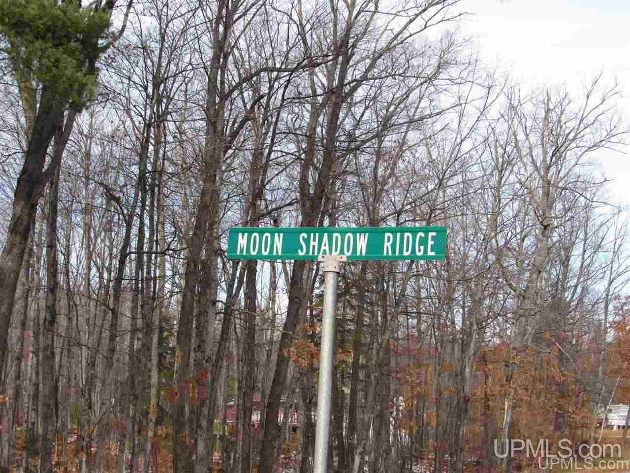 55 Moon Shadow Ridge Negaunee, MI 49866 - Photo 2 of 2 Gallery Image 2