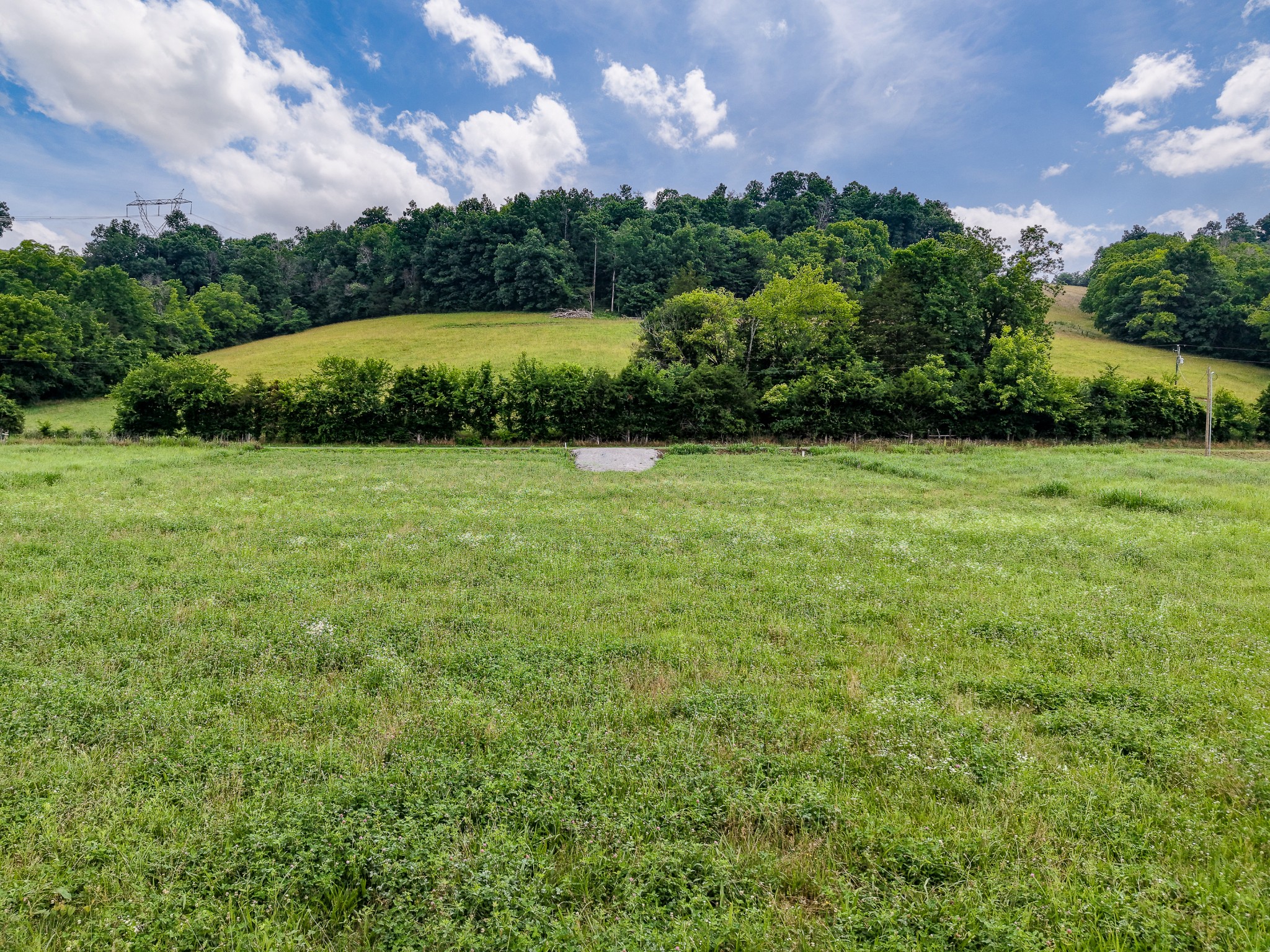 386 Cathcart Road Frankewing, TN 38459 - Photo 4 of 12