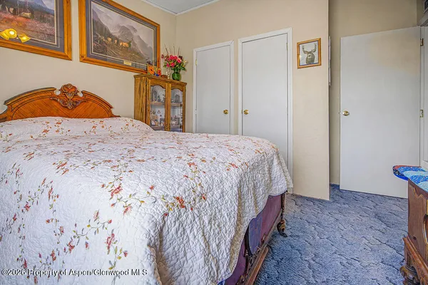 a bedroom with a bed and a closet