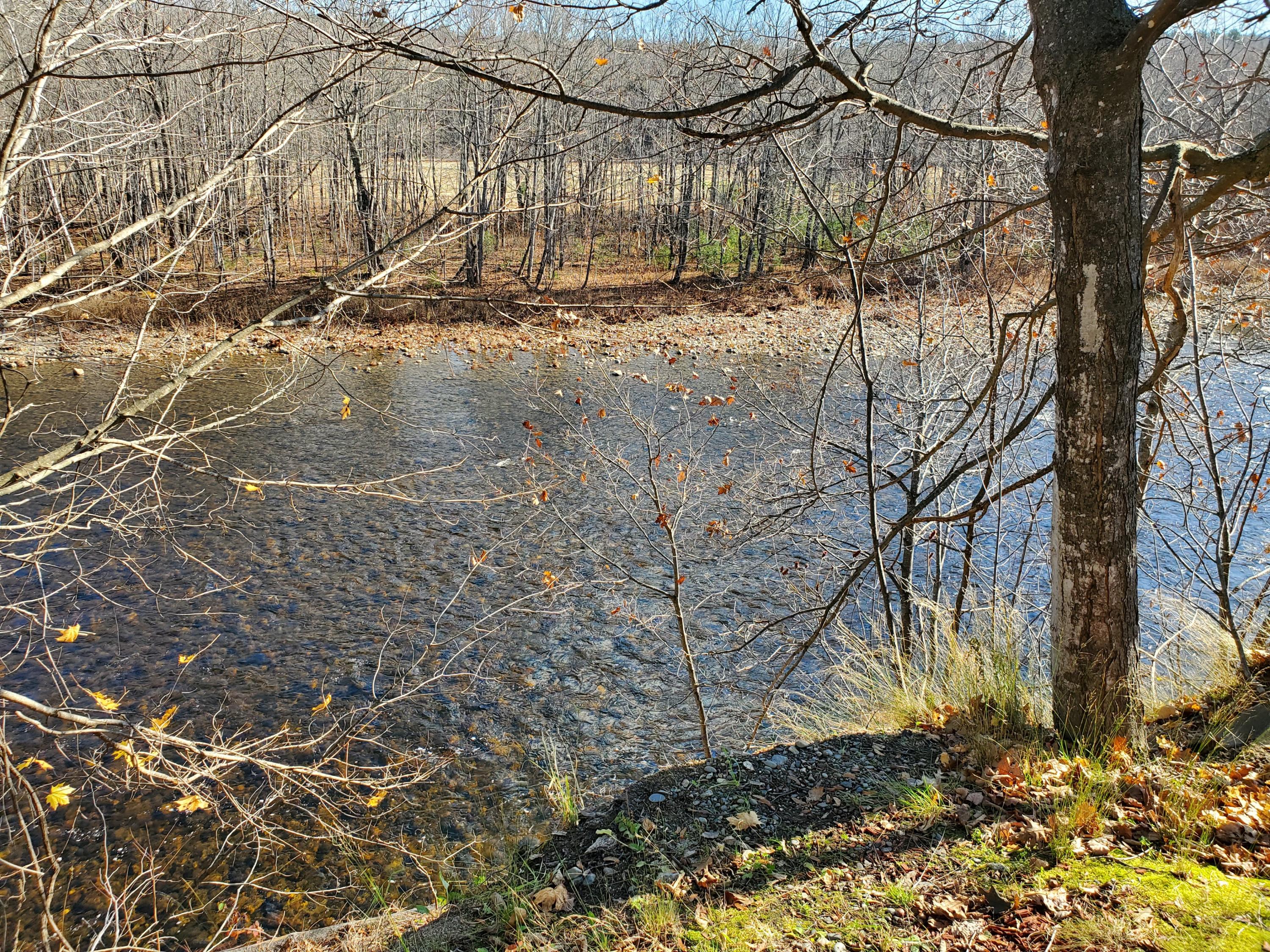 58 Farmington Road Strong, ME 04983 - Photo 3 of 47 20191104_120624MLS