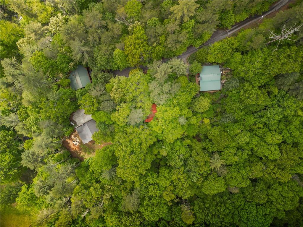 203 Mountain View Road Cherry Log, GA 30522 - Photo 30 of 32