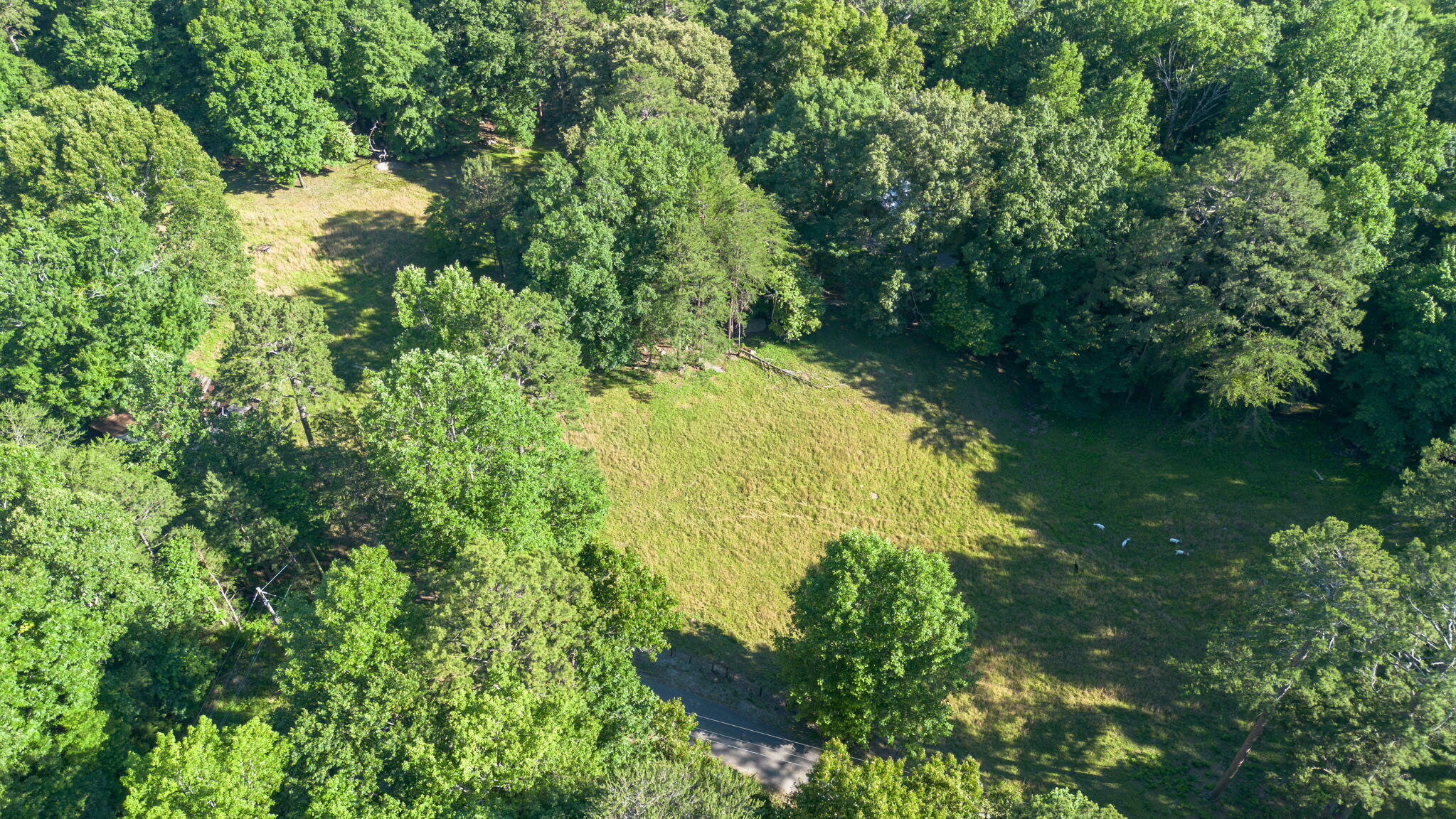 364 Gregg Road Dunlap, TN 37327 - Photo 8 of 23 6287