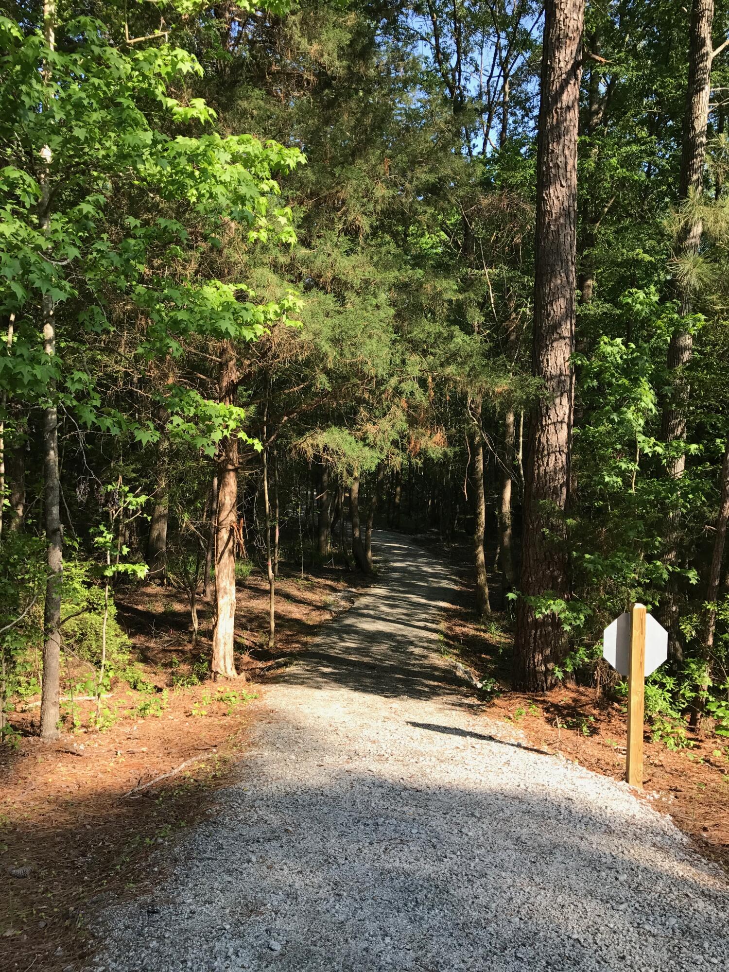 204 Roujon Trail McCormick, SC 29835 - Photo 10 of 10 IMG_1287