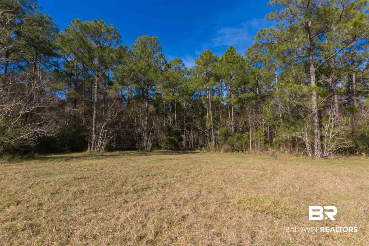 21801 County Road 28 Foley, AL 36535 - Photo 32 of 41