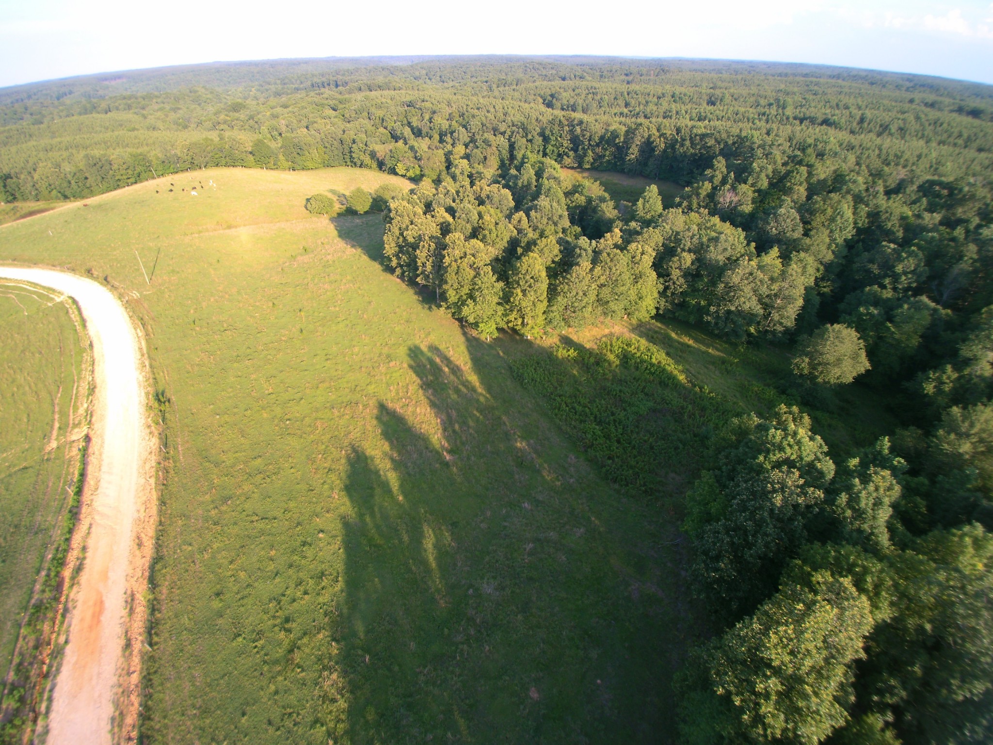 0 Granny Scott Road Waynesboro, TN 38485 - Photo 1 of 4 Gallery Image 1