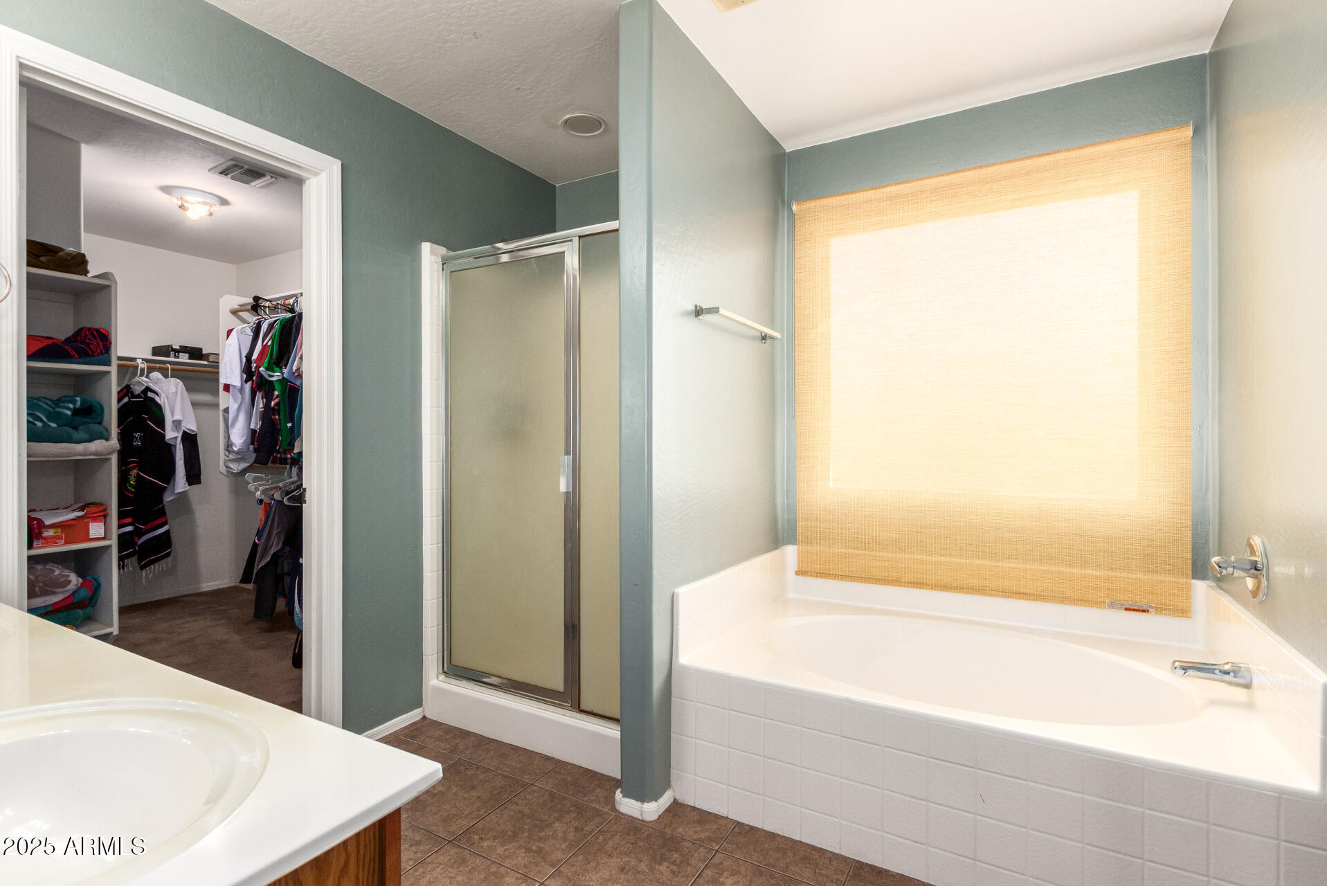 7229 West Crown King Road Phoenix, AZ 85043 - Photo 22 of 38 a bathroom with a bathtub and a shower