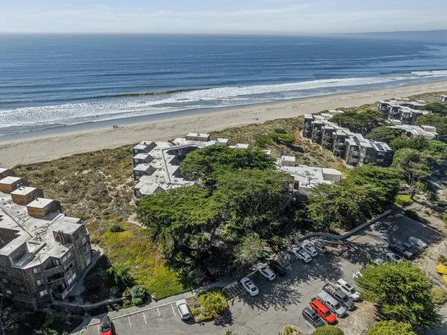 a view of a garden with pathway