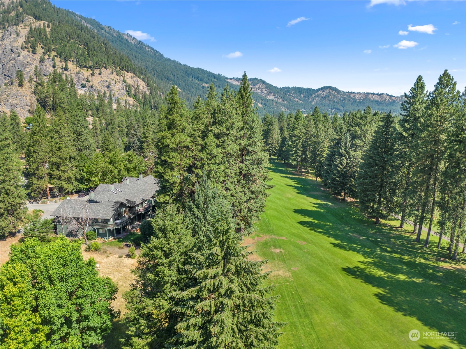 9151 Icicle Road, Unit E Leavenworth, WA 98826 - Photo 34 of 40 a view of a lush green forest with trees in the background