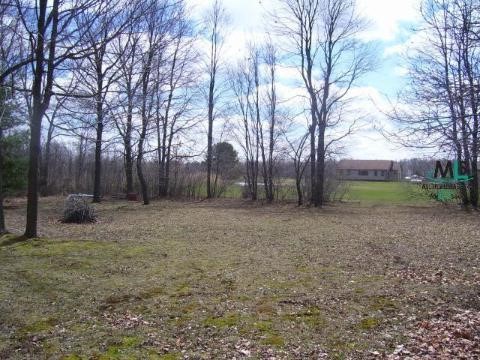 7810 Imlay City Road Avoca, MI 48006 - Photo 4 of 9 721161-3.JPG