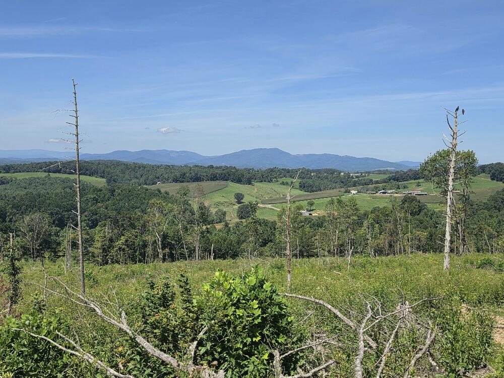 Tbd Savannah Road Galax, VA 24333 - Photo 7 of 13 Gallery Image 7