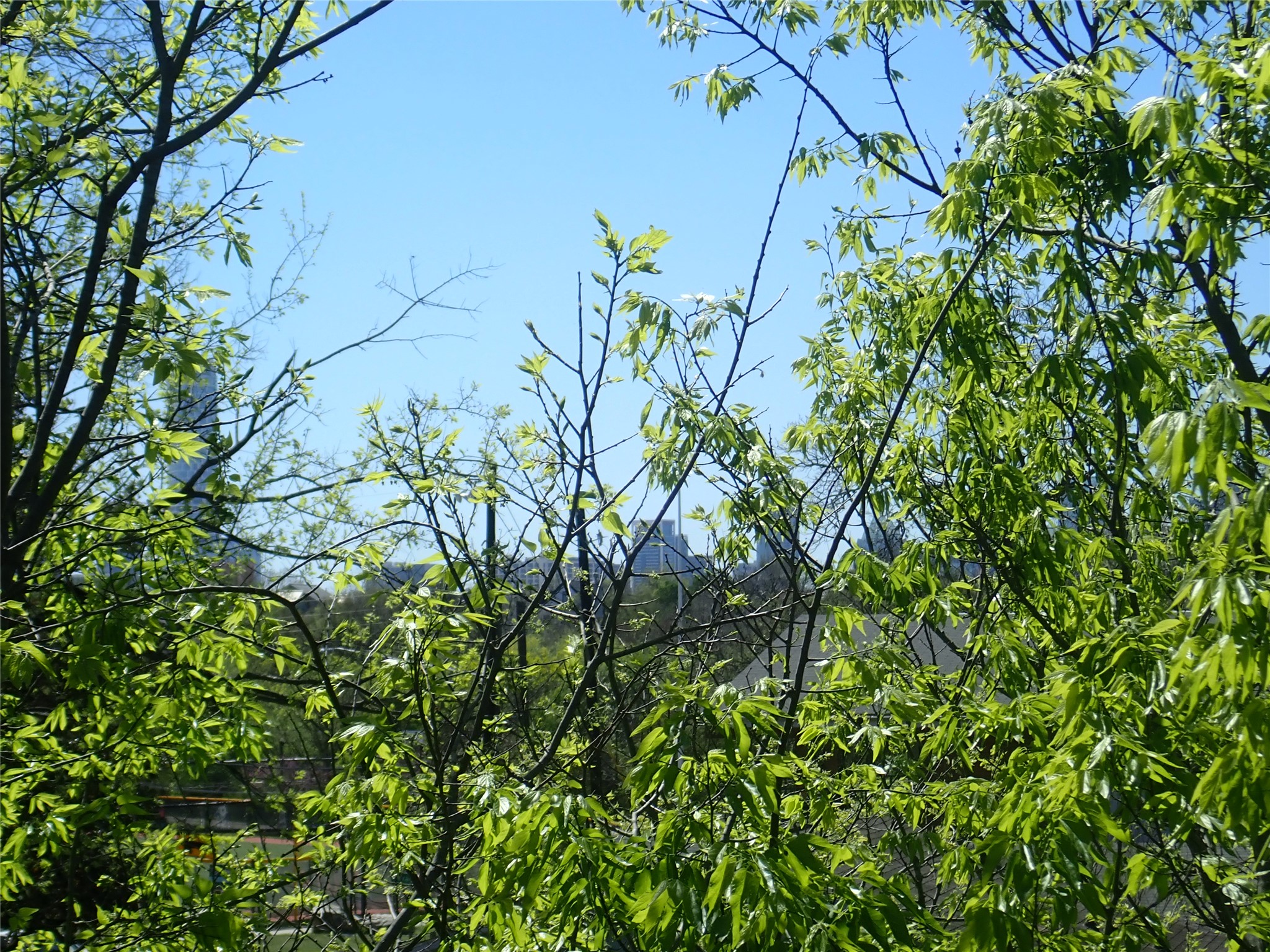 2912 East 14th Street, Unit A Austin, TX 78702 - Photo 20 of 27 View of Downtown Austin