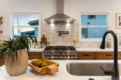 a kitchen with a faucet a potted plant and a sink