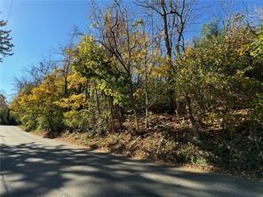 0 Songo Pittsburgh, PA 15227 - Photo 2 of 14 a view of a yard