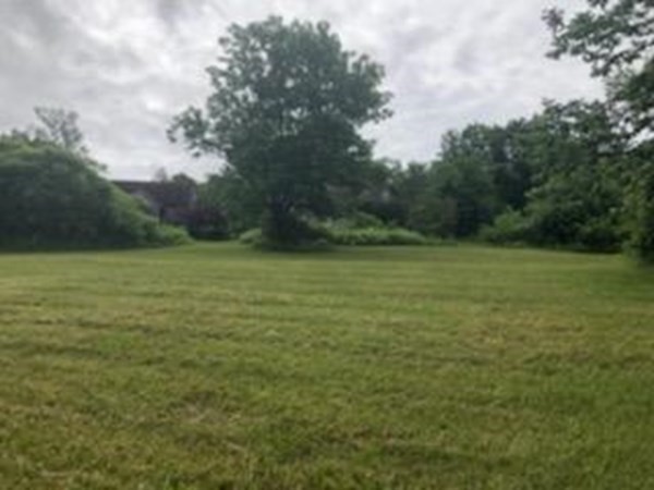 1007 Petersham Road Hardwick, MA 01037 - Photo 13 of 33 a view of a field with a trees in the background