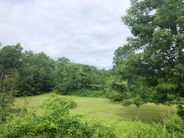 1007 Petersham Road Hardwick, MA 01037 - Photo 10 of 33 a view of a green field with lots of bushes