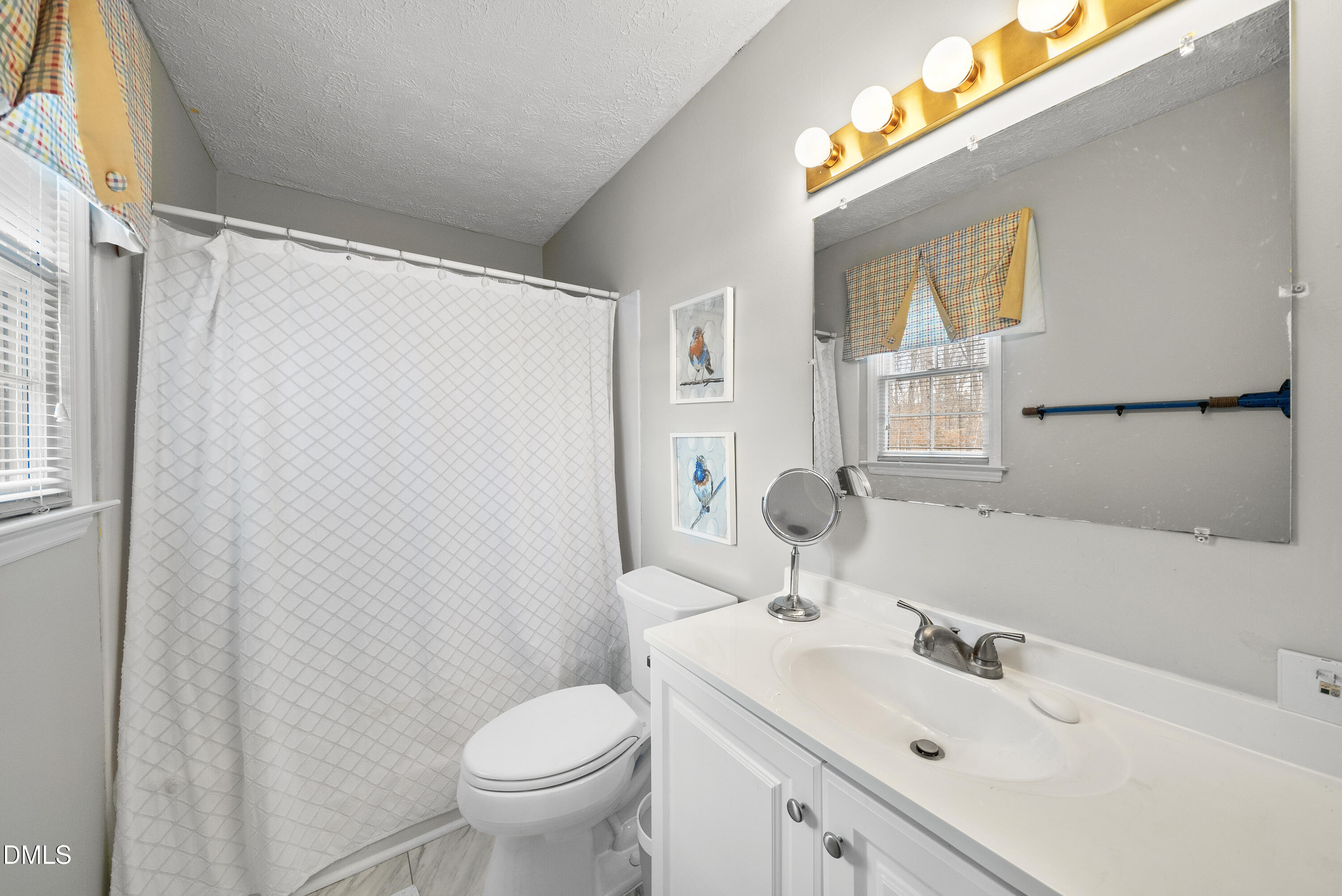 303 Hidden Hills Road Roxboro, NC 27574 - Photo 26 of 39 a bathroom with a sink toilet and mirror