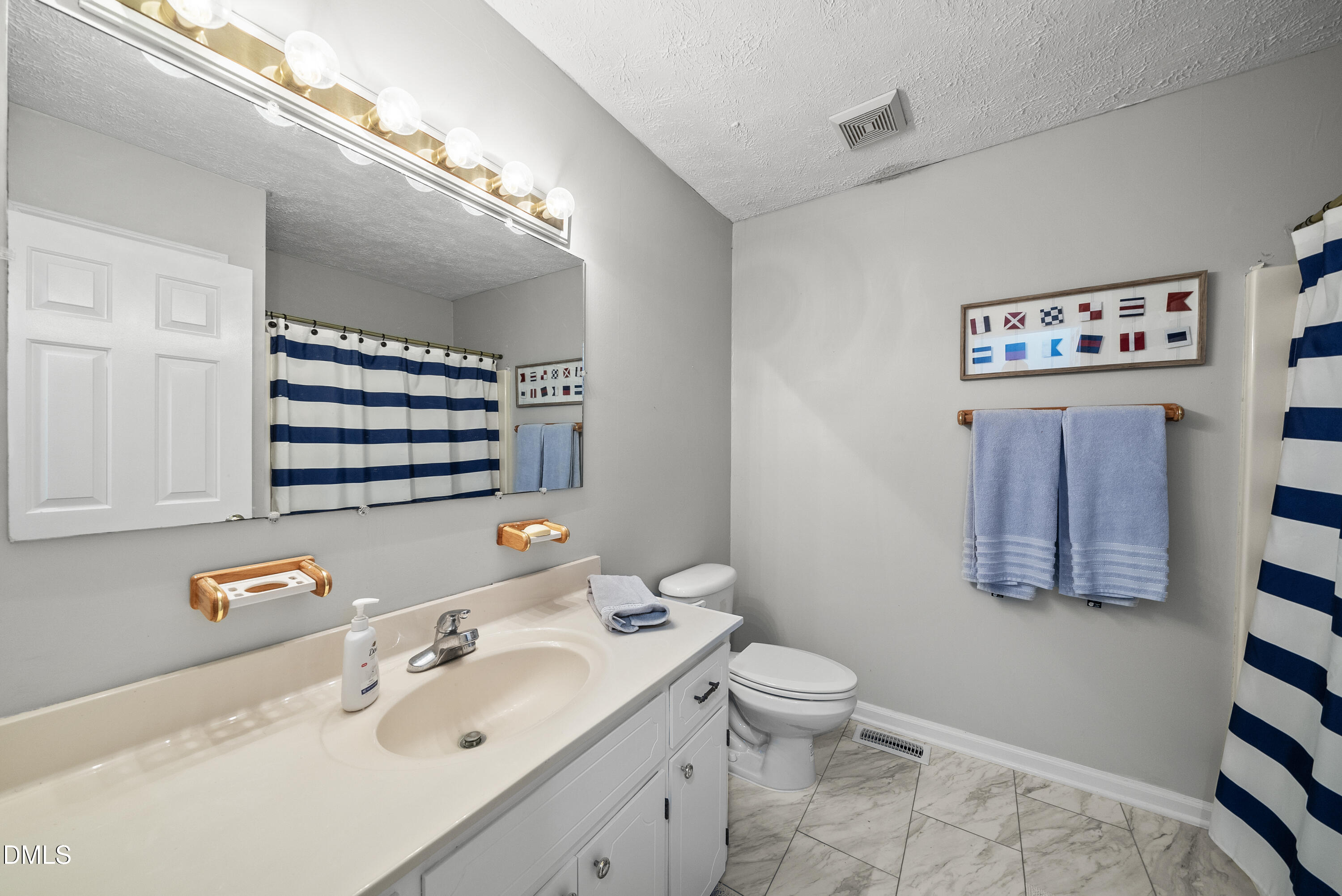 303 Hidden Hills Road Roxboro, NC 27574 - Photo 29 of 39 a bathroom with a sink a toilet and a mirror