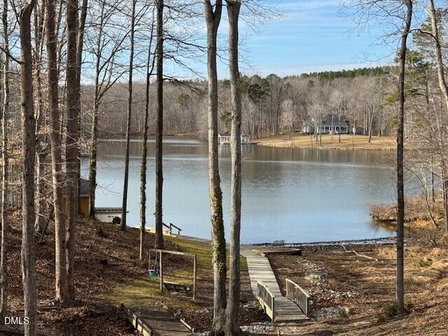 303 Hidden Hills Road Roxboro, NC 27574 - Photo 6 of 39 303 Lake view 2