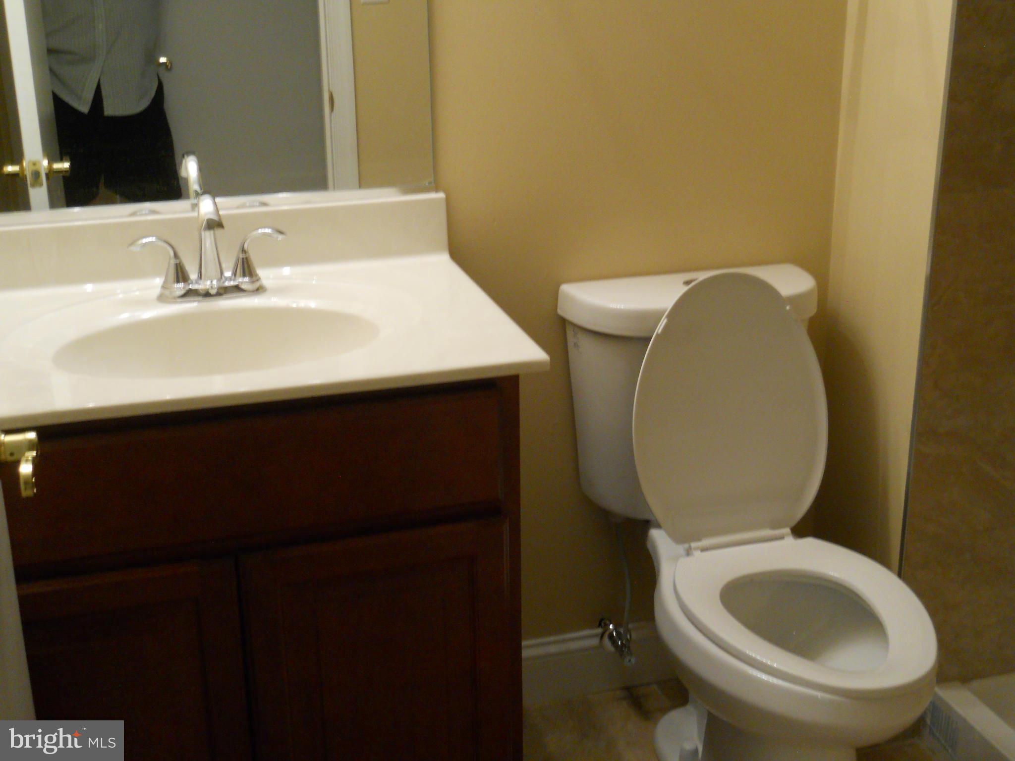 6940 Broening Road Baltimore, MD 21222 - Photo 22 of 22 Basement Bath