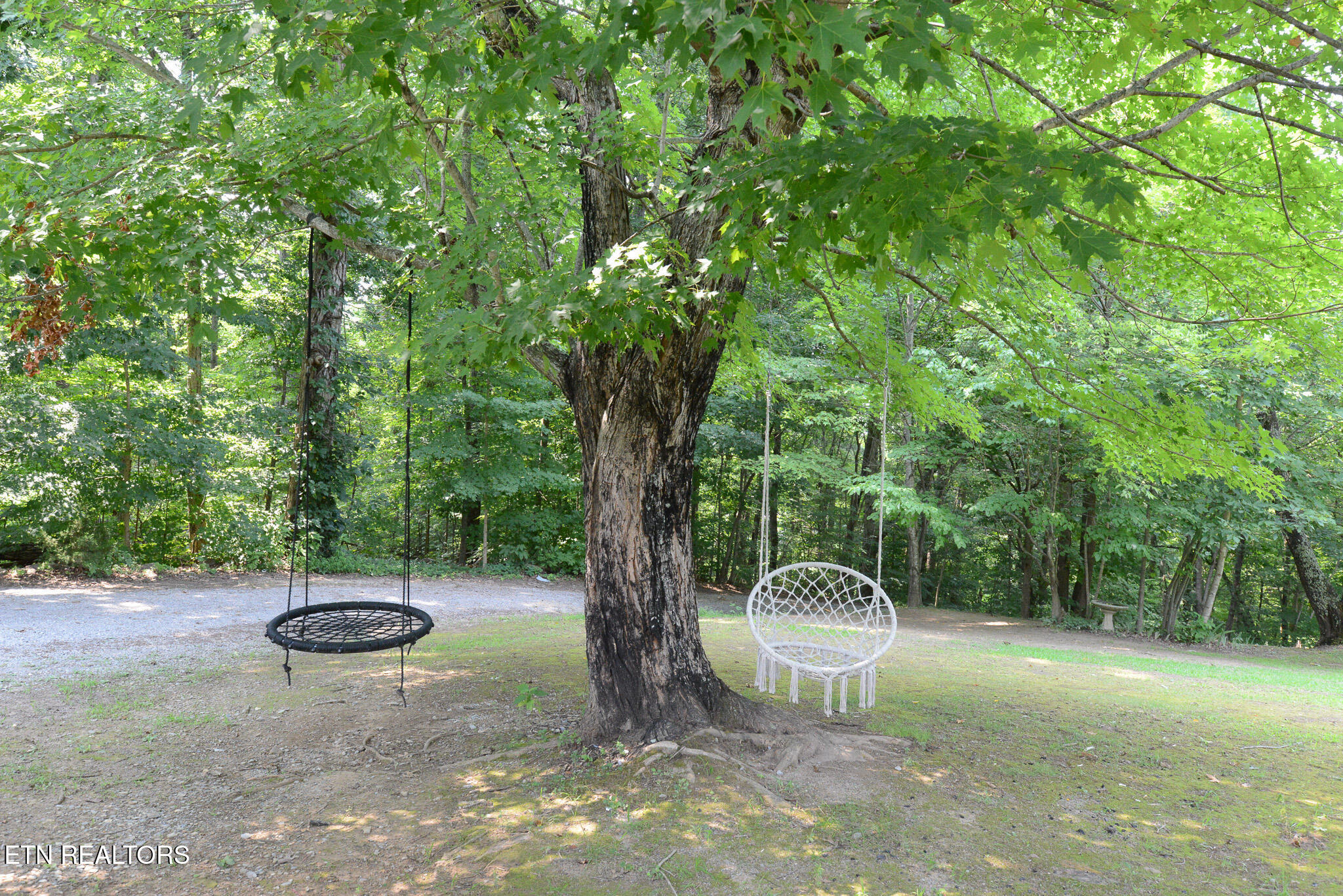 815 Hartsell Road Newport, TN 37821 - Photo 33 of 43 DSC_6293