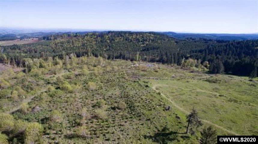 Crooked Finger (lot Road, Unit 400 & 500) Scotts Mills, OR 97375 - Photo 5 of 6