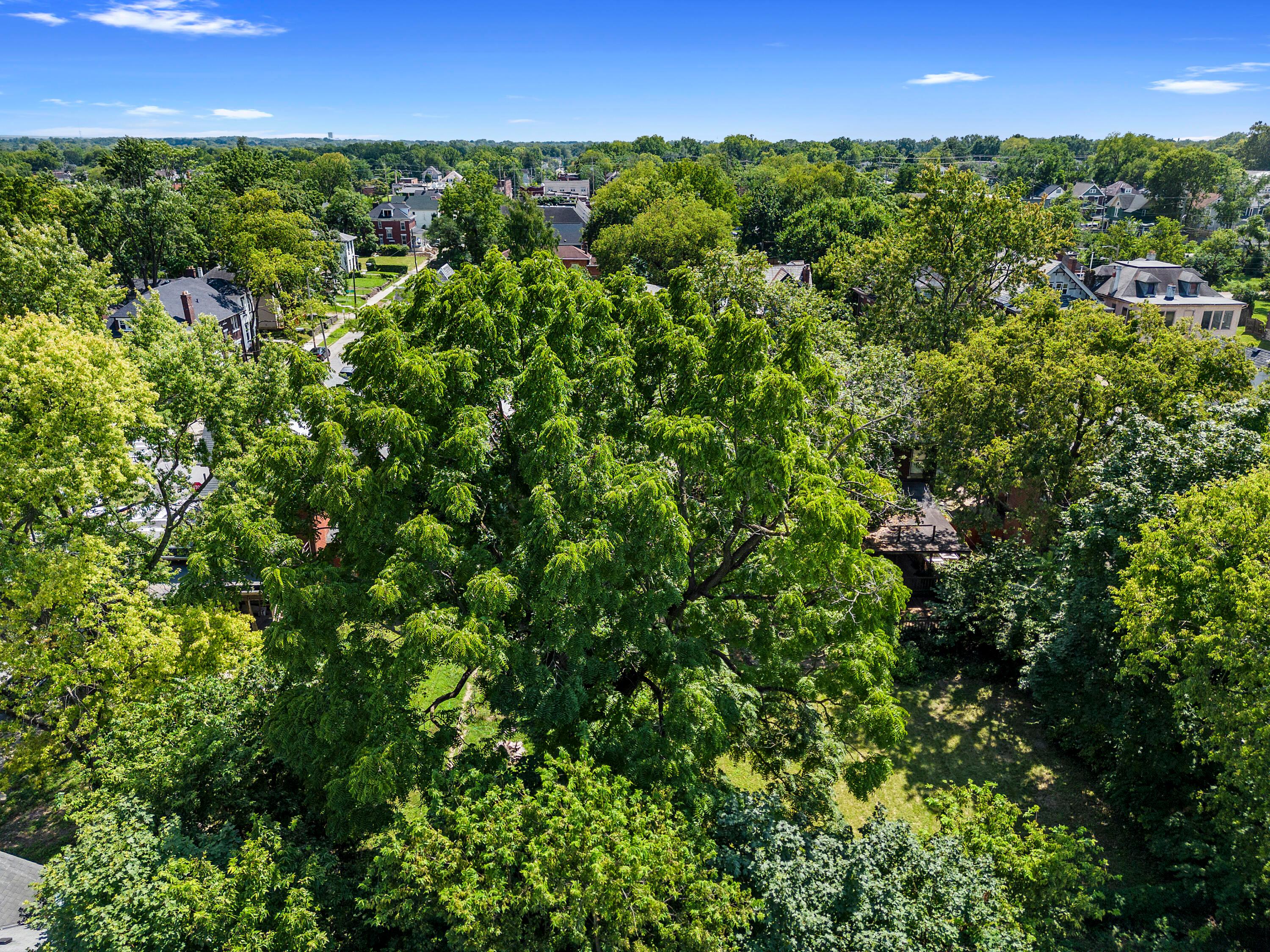 1448 Bryden Road Columbus, OH 43205 - Photo 27 of 65 DJI_0699