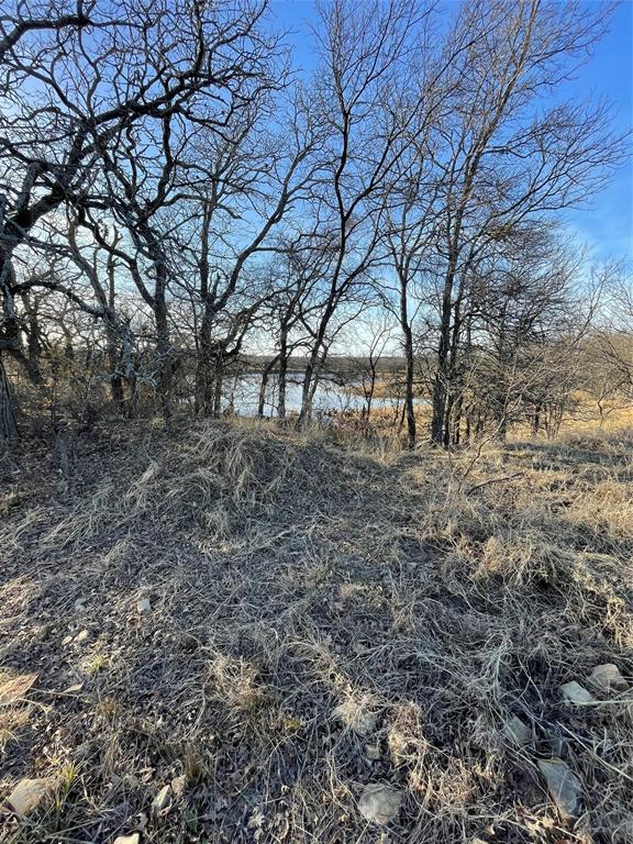 Tbd Oilfield Road Jacksboro, TX 76458 - Photo 4 of 35 a view of yard with trees