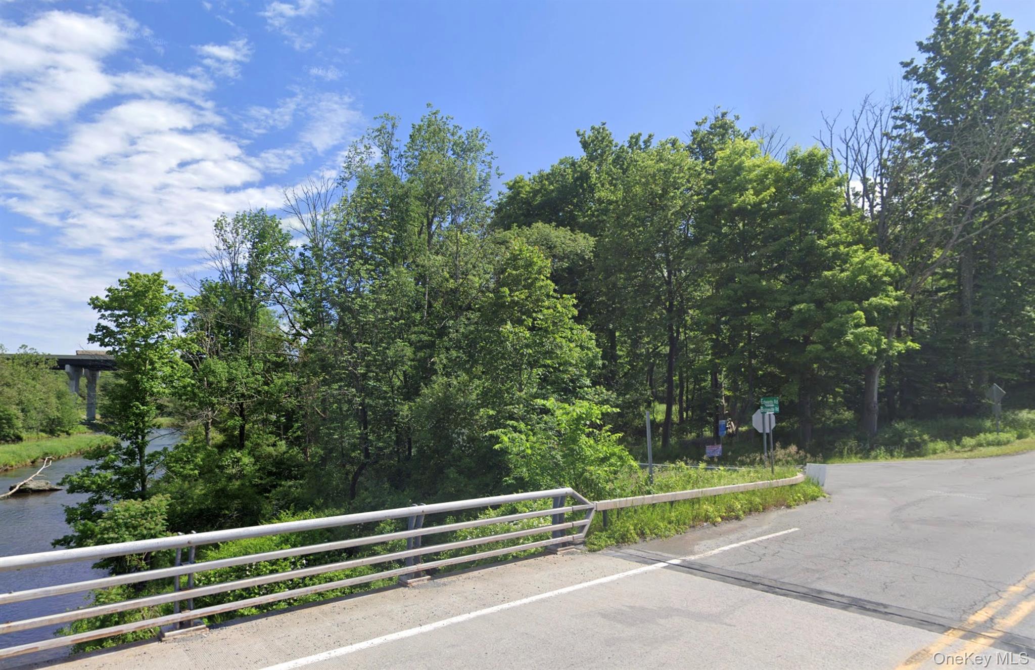 Edwards Road Rock Hill, NY 12775 - Photo 2 of 6