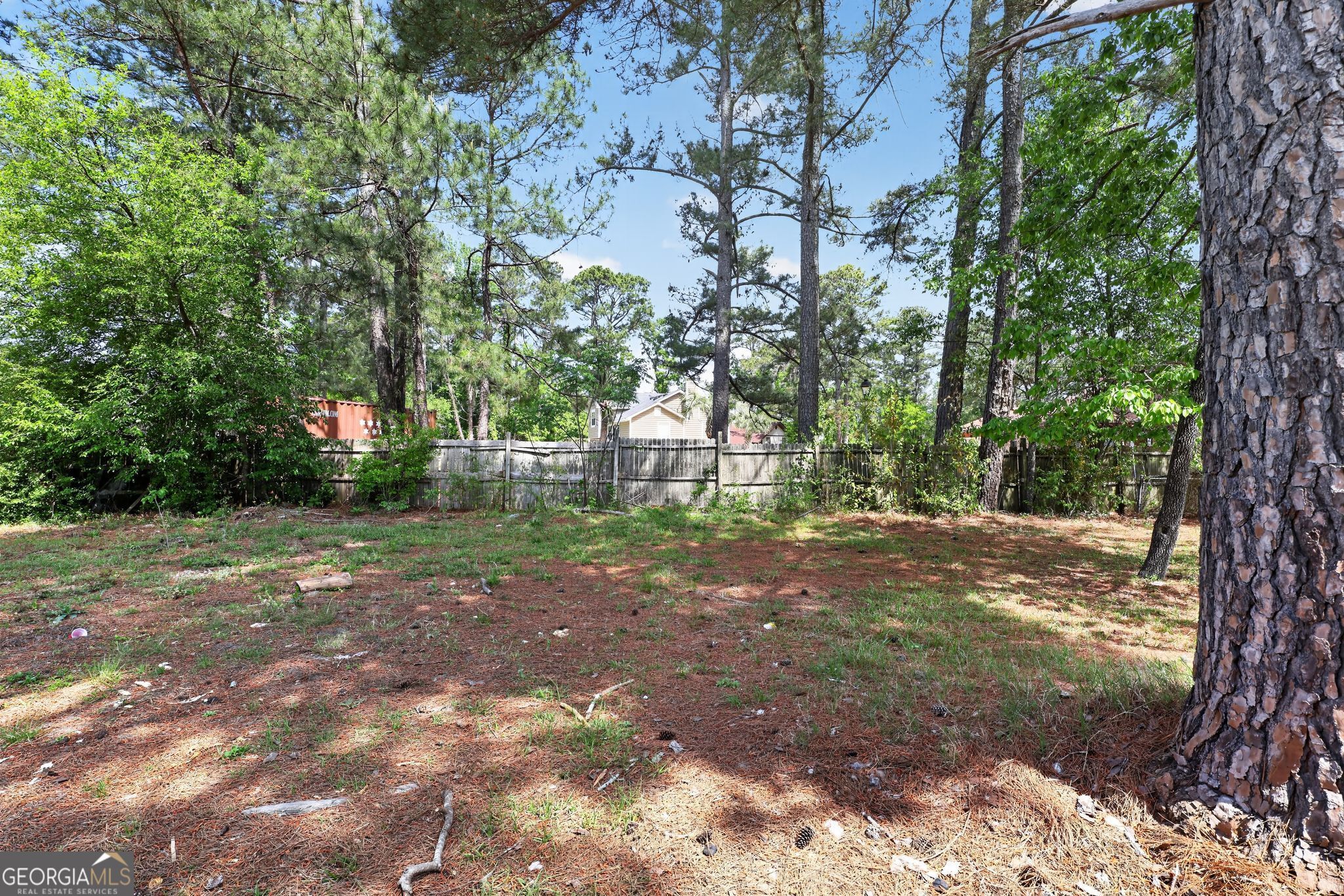 2809 Butler Manor Drive Hephzibah, GA 30815 - Photo 34 of 35 a view of a tree in the middle of a yard
