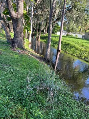 a view of a yard with a tree