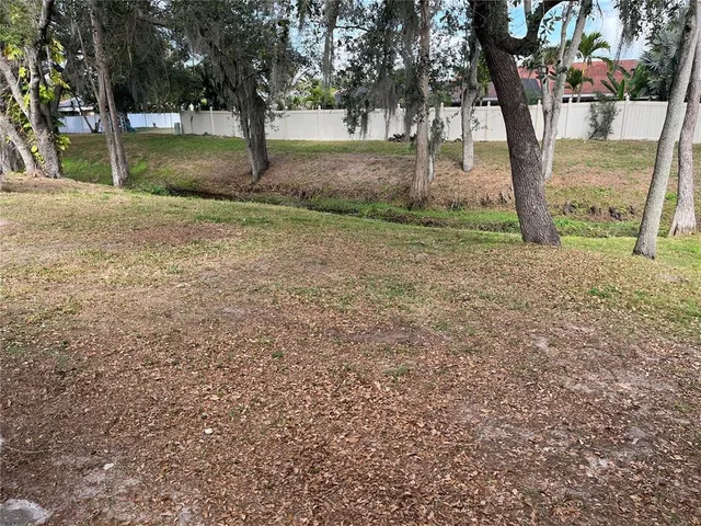 a view of backyard with tree